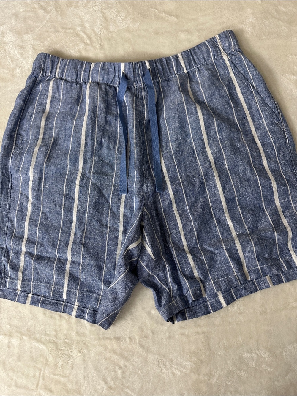 Everlane Blue and White Vertical Stripe Shorts